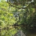 lake_mandicocha_la_v_0159_ecu0862.jpg